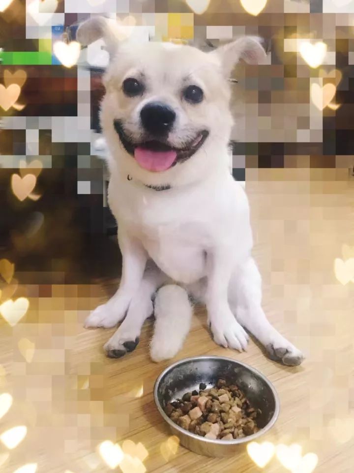 想要成功什么素质最重要（有决心的人没什么困难能难倒）