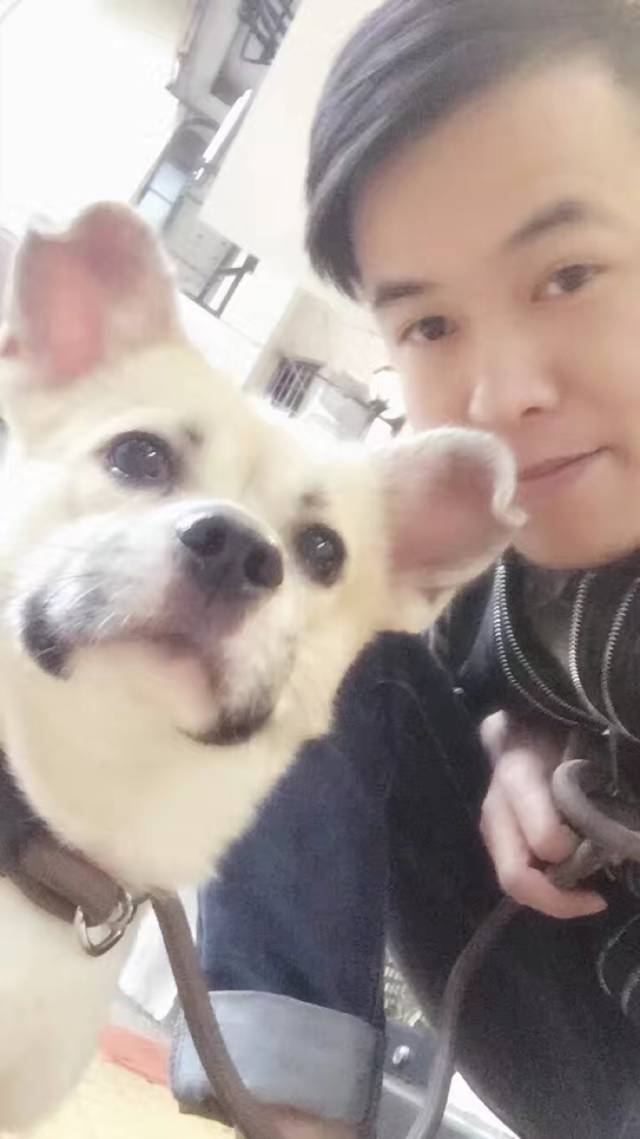 想要成功什么素质最重要（有决心的人没什么困难能难倒）