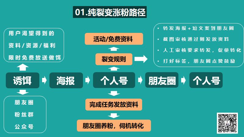 涨粉丝有什么技巧（揭秘达人最快涨粉的诀窍）