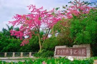互联网怎么赚钱（高手经验之谈千万不要选错方向）