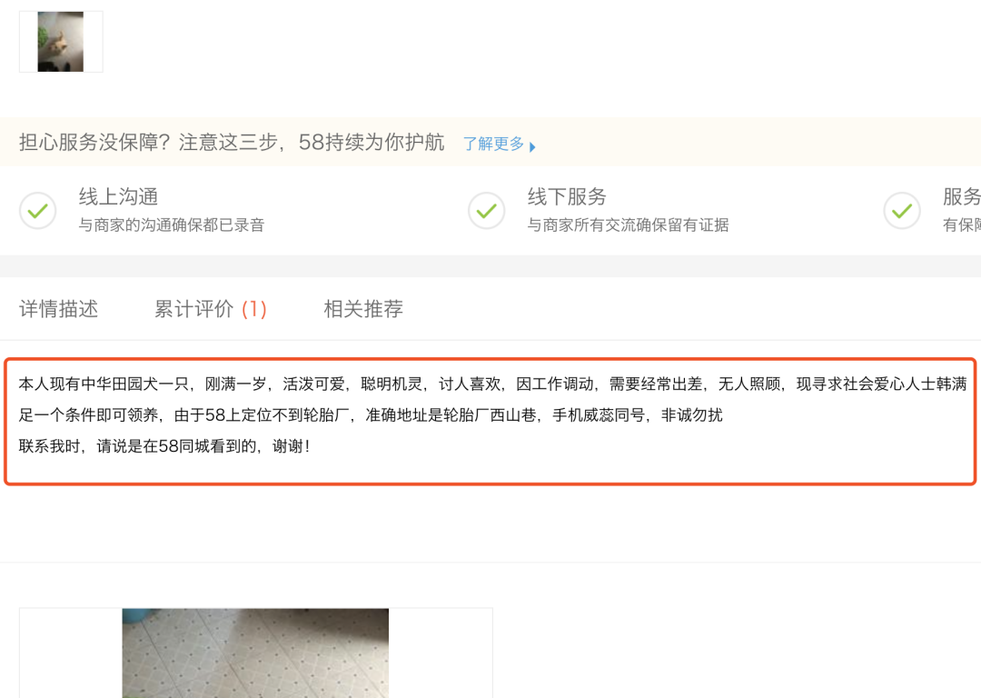 网上带货怎么赚钱（这样直播卖货轻松日赚百万）