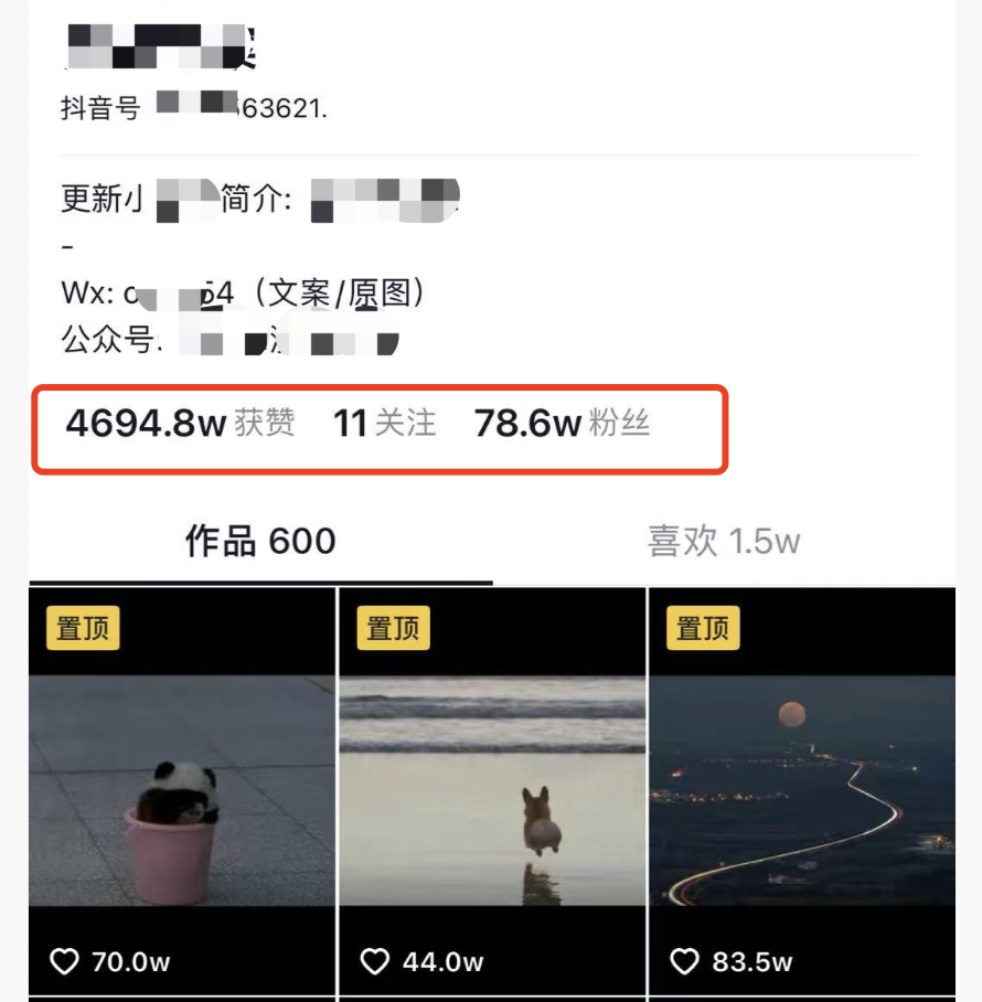 抖音怎么快速引流起来（抖音傻瓜式批量搬运引流）