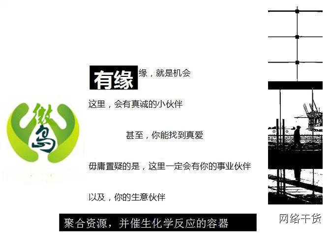 社群怎么建怎么运营（创业人最爱的精神部落）