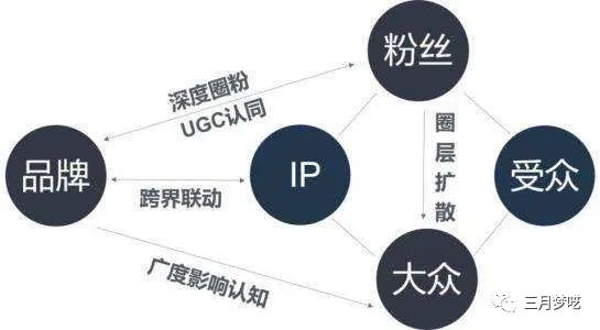 Shopify独立站做垂直电商好做吗（学会这几点很重要）