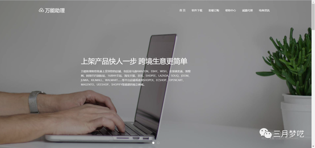 店群模式是什么意思（俄罗斯最火爆的电商运营模式）