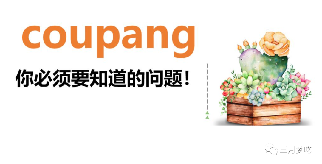 新手适合做跨境电商吗（做了半年多coupang的感受）