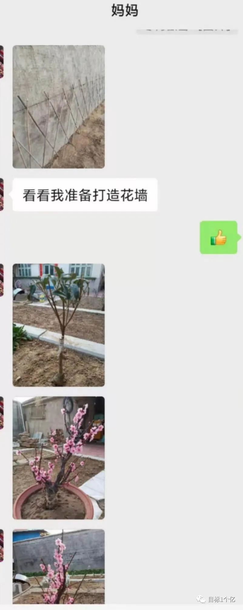 现在赚钱的行业有哪些（95后大学毕业赚到了300W）