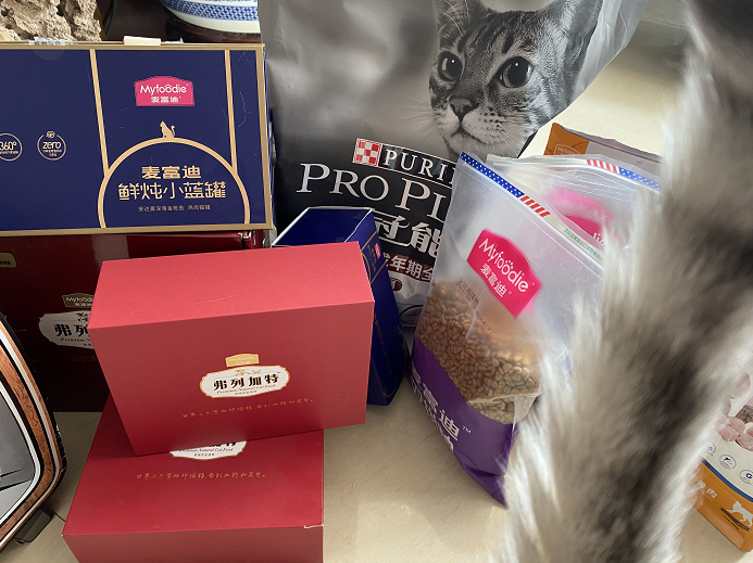 宠物猫舍的赚钱玩法（分享年赚50W的副业项目）